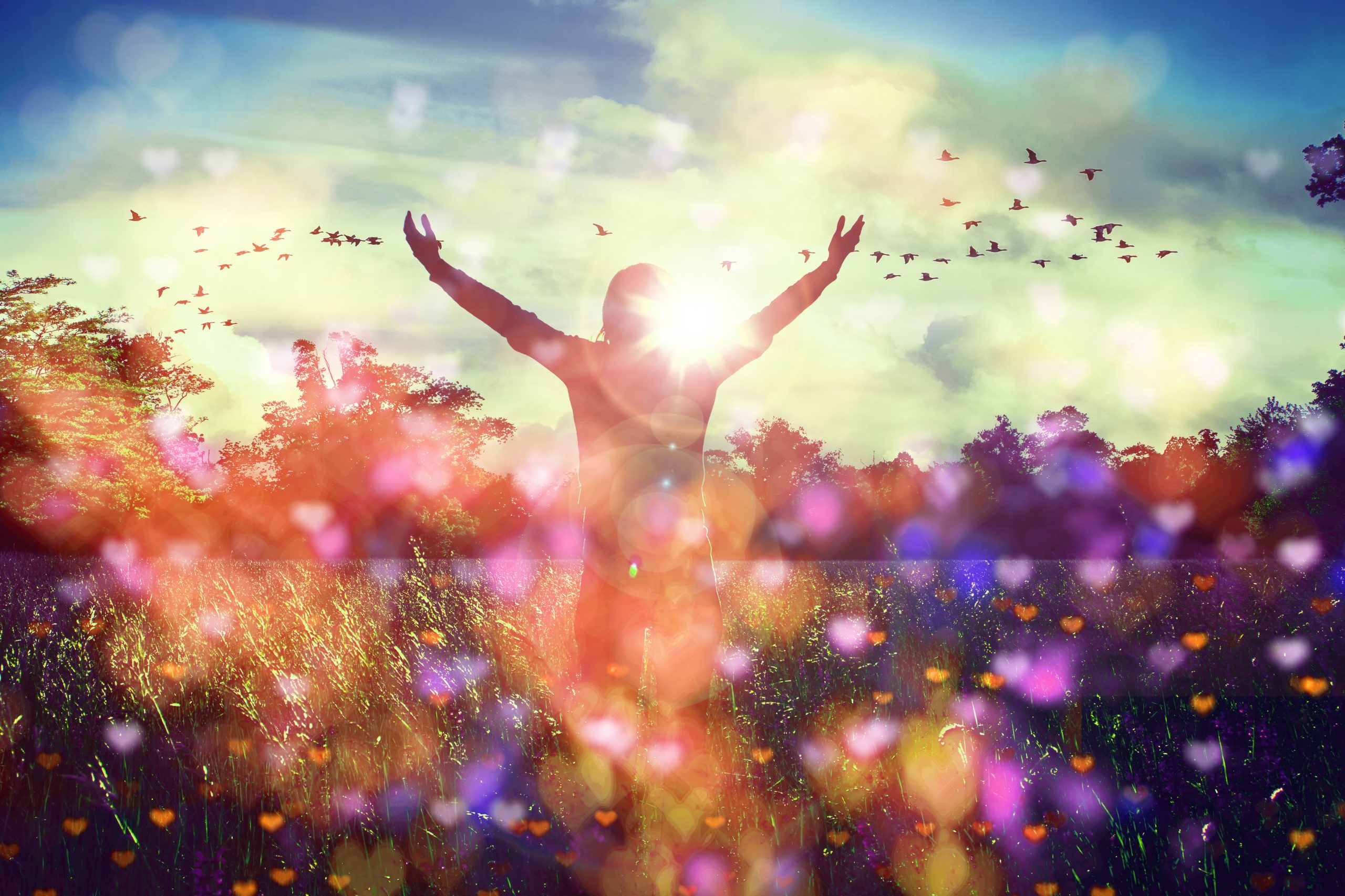 Raising Vibrations for Your Soulmate