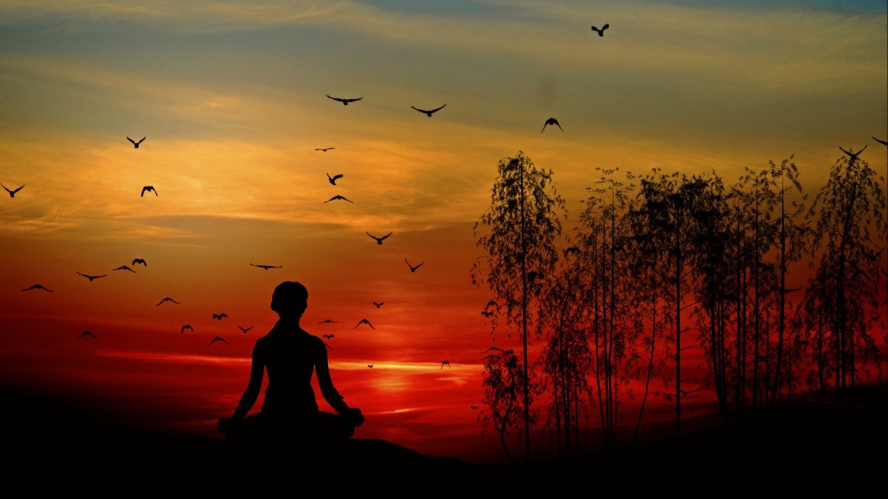 Listening to the Knowledge of your Inner Wisdom