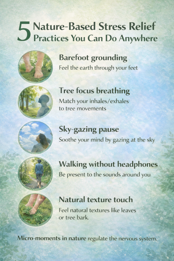 5 Nature-Based Stress Relief Practices You Can Do Anywhere